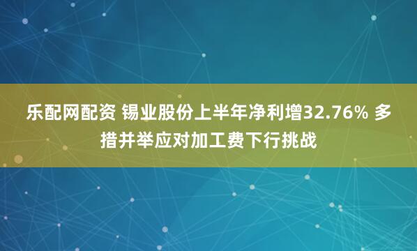 乐配网配资 锡业股份上半年净利增32.76% 多措并举应对加工费下行挑战