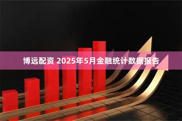 博远配资 2025年5月金融统计数据报告